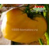 Томат МАРИНА ДУХОВА