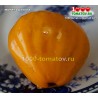 Томат МАРИНА ДУХОВА
