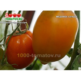 Томат МЕДОВОЕ СЕРДЦЕ