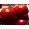 Томат МЕКСИКАНСКИЙ ГИГАНТ  Mexican Giant 