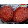 Томат МИЛКИН КРАСНЫЙ БОЛГАРСКИЙ - Milka’s Red Bulgarian
