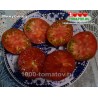 Томат МИНУСИНЕЦ