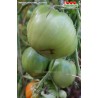 Томат МИНУСИНСКИЕ ЛАПТИ