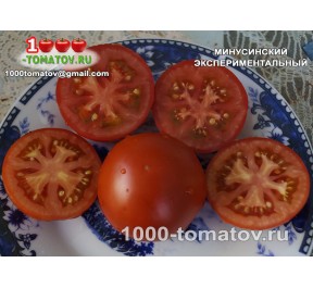 Томат МИНУСИНСКИЙ ЭКСПЕРИМЕНТАЛЬНЫЙ