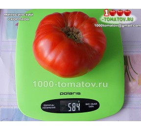 Томат МИНУСИНСКИЙ СКОРПИОН