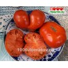 Томат МИНУСИНСКОЕ ИСКУШЕНИЕ