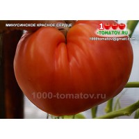 Томат МИНУСИНСКОЕ КРАСНОЕ СЕРДЦЕ