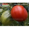 Томат МИНУСИНСКОЕ КРАСНОЕ СЕРДЦЕ