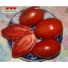Томат МИНУСИНСКИЙ САХАРНЫЙ