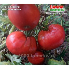 Томат МИНУСИНСКИЙ ТРАДИЦИОННЫЙ