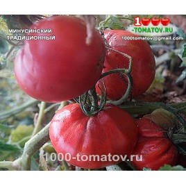 Томат МИНУСИНСКИЙ ТРАДИЦИОННЫЙ