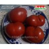 Томат МИНУСИНСКИЙ ТРАДИЦИОННЫЙ Томат МИНУСИНСКИЙ ТРАДИЦИОННЫЙ