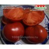 Томат МИНУСИНСКИЙ ТРАДИЦИОННЫЙ Томат МИНУСИНСКИЙ ТРАДИЦИОННЫЙ