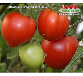 Томат НЕМЕЦКАЯ КРАСНАЯ КЛУБНИКА 