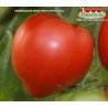 Томат НЕМЕЦКАЯ КРАСНАЯ КЛУБНИКА  Томат НЕМЕЦКАЯ КРАСНАЯ КЛУБНИКА