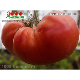 Томат НЕМЕЦКИЙ БОЛЬШОЙ