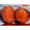 Томат НОВИЧОК