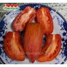 Томат ОГНЕННАЯ РОЗА