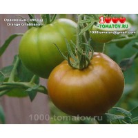 Томат ОРАНЖЕВЫЙ ГАББАНА