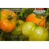 Томат ОРАНЖЕВЫЙ ГИГАНТ МЕНОНИТОВ Томат ОРАНЖЕВЫЙ ГИГАНТ МЕНОНИТОВ