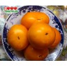 Томат ПЕРСИК ИЗ РИГИ