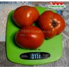 Томат ПЕРУАНСКИЙ ГИГАНТ