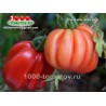 Томат ПИТАНГА КРАСНАЯ  Pitanga Red