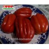 Томат ПИТАНГА КРАСНАЯ  Pitanga Red