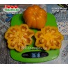 Томат ПИТАНГА ЖЁЛТАЯ Pitanga Yellow
