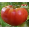 Томат ПОДЪЁМНЫЕ 