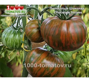 Томат ПОЛОСАТЫЙ ШОКОЛАД