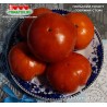 Томат ПОЛЬСКИЙ ГИГАНТ ГОВЯЖИЙ СТЕЙК