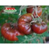 Томат РАДИНИЛИ Radinilee