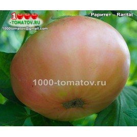 Томат РАРИТЕТ – Rarität