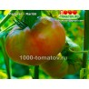 Томат РАРИТЕТ – Rarität