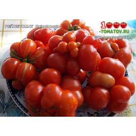 Томат РЕЙСЕТОМАТ  Reisetomate 