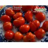 Томат РЕЙСЕТОМАТ  Reisetomate 