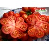 Томат РЕЙСЕТОМАТ  Reisetomate 