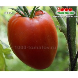 Томат РЕПА TURNIP 