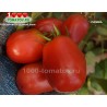 Томат РИММА
