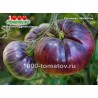 Томат РОСОМАХА  Wolverine