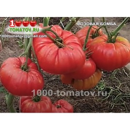 Томат РОЗОВАЯ БОМБА