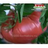 Томат РОЗОВАЯ БОМБА