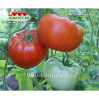 Томат РОЗОВОЕ ЧУДО