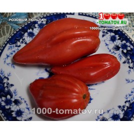 Томат РОЗОВЫЙ ТЮЛЬПАН