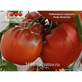 Томат РУБИНОВЫЙ СЮРПРИЗ Ruby Surprise