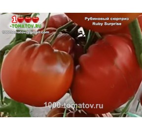 Томат РУБИНОВЫЙ СЮРПРИЗ Ruby Surprise