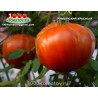 Томат РУМЫСКИЙ КРАСНЫЙ Romanian Red
