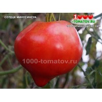 Томат СЕРДЦЕ МИНУСИНСКА