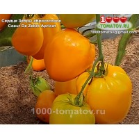 Томат СЕРДЦЕ ЗЕБРЫ АБРИКОСОВОЕ